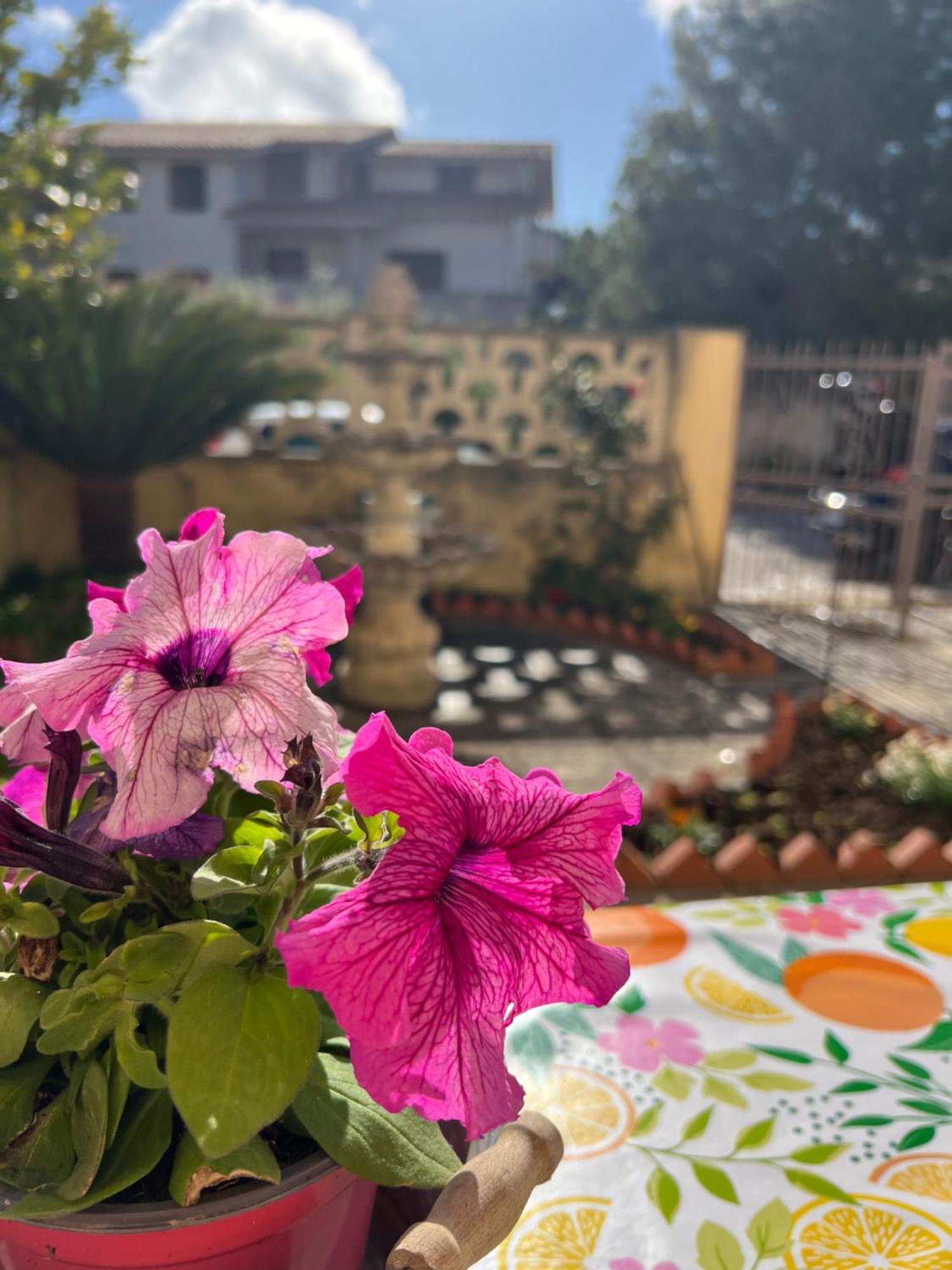 Casa vacanze Nonna Ciccina's House Vita